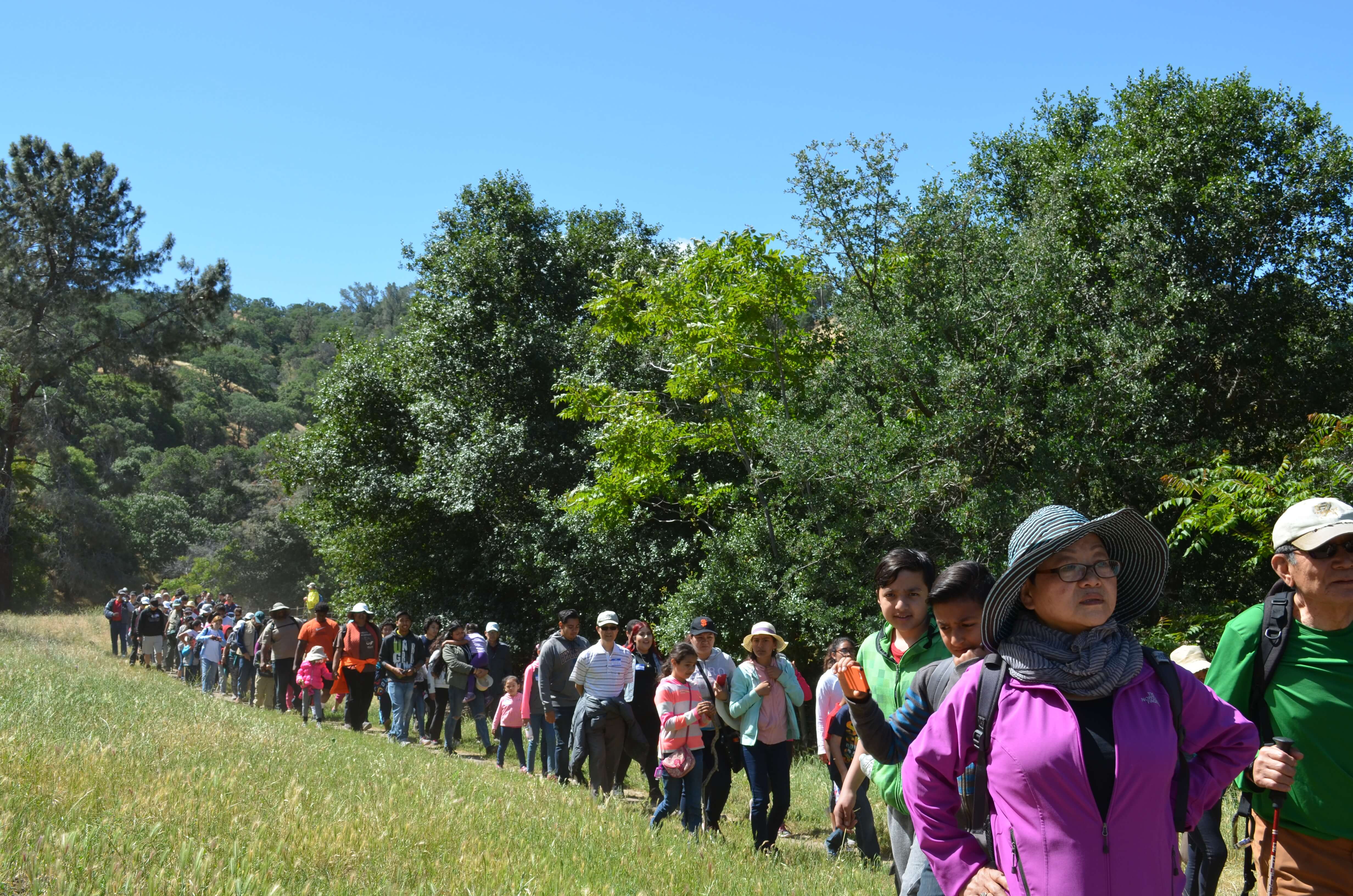 multi-cultural wellness walk